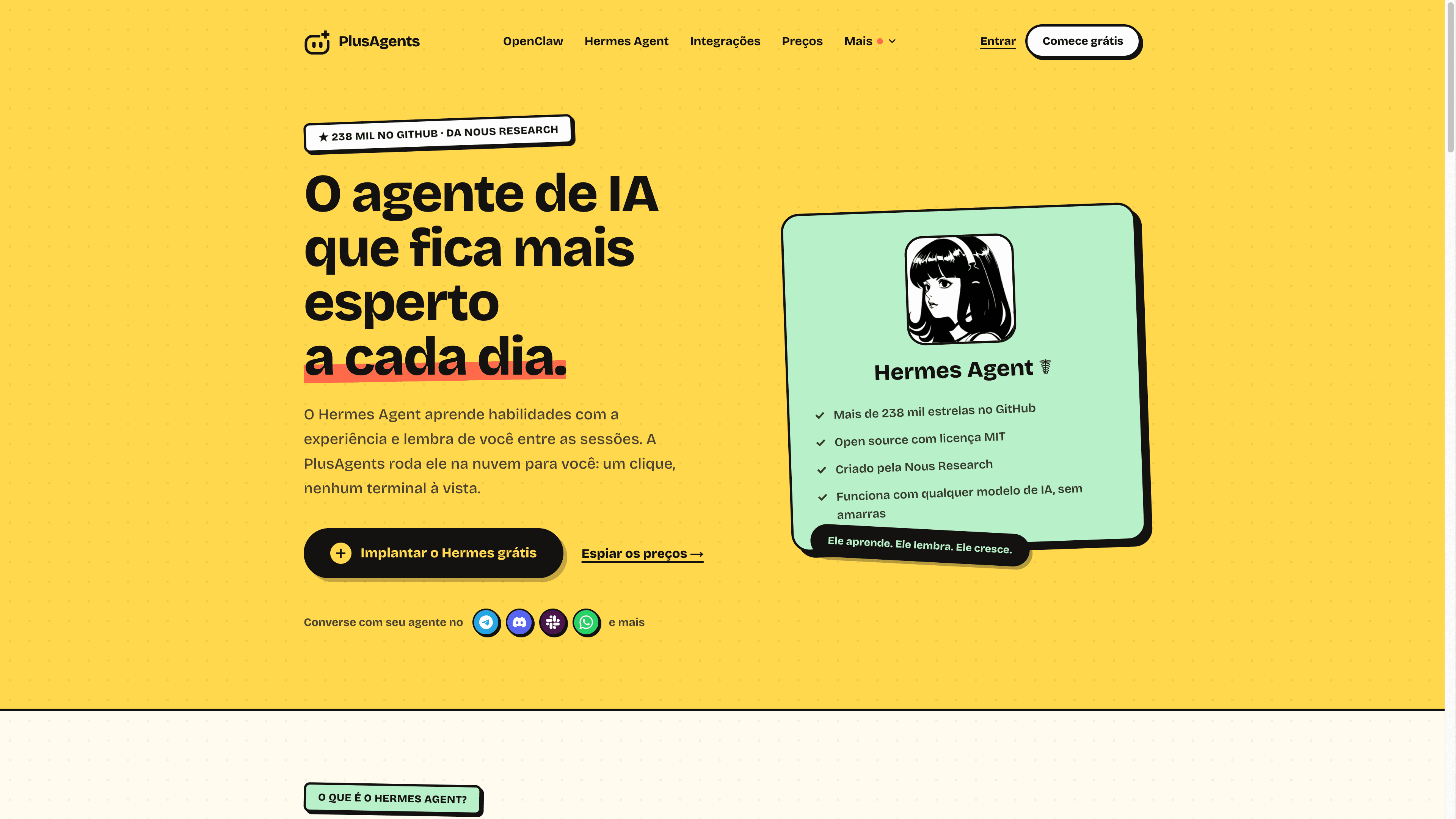 Página de hospedagem do Hermes Agent na PlusAgents
